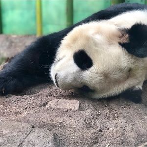 Meet your Posher, Vitalia